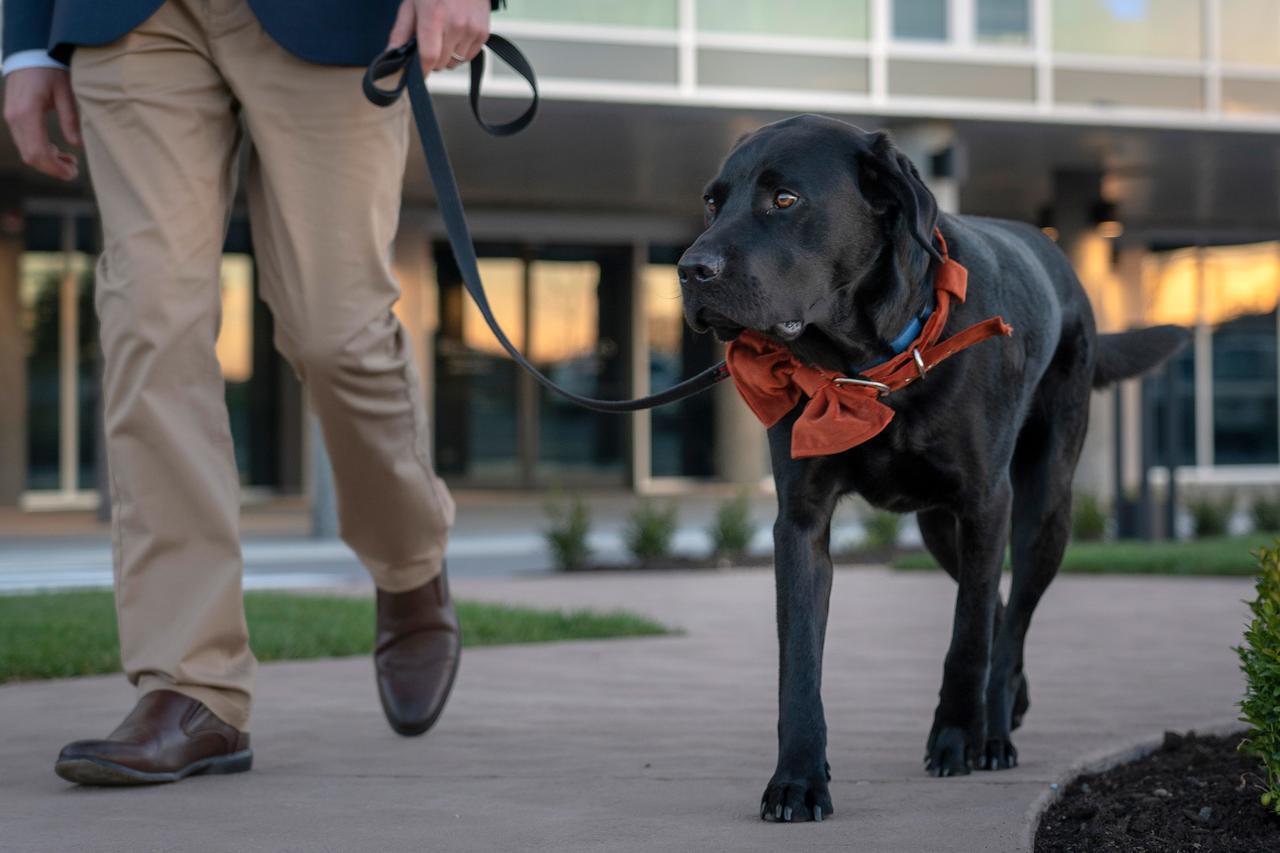 Peppers Silo Hotel Launceston Exterior photo A service dog